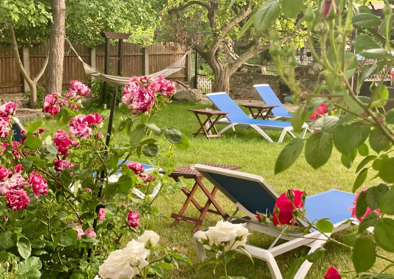 Vamabel House Bed & Breakfast Vama Veche Exterior photo