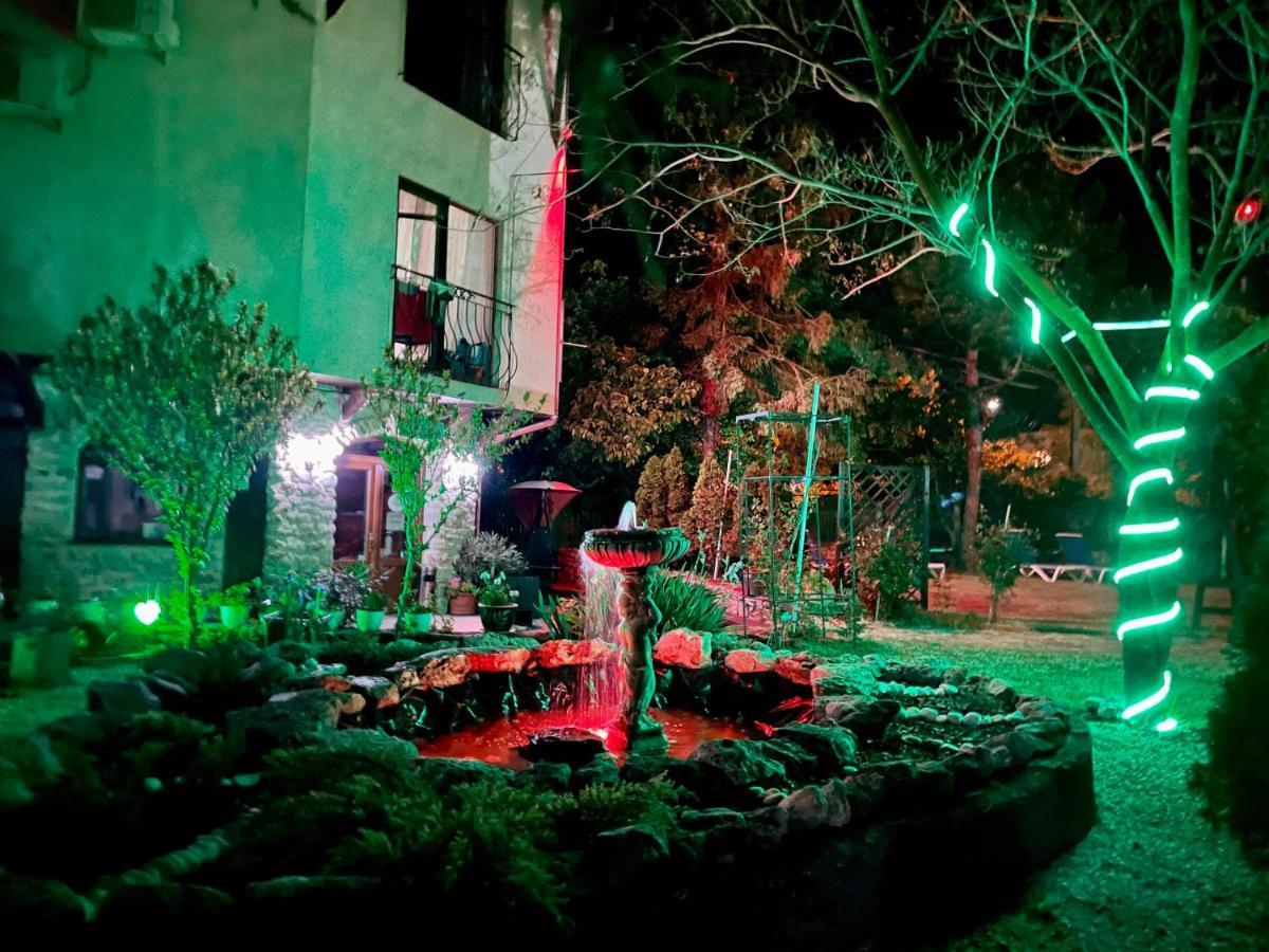 Vamabel House Bed & Breakfast Vama Veche Exterior photo