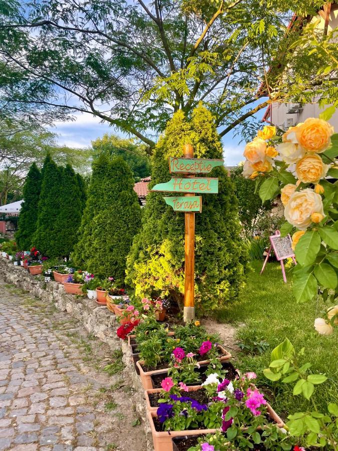 Vamabel House Bed & Breakfast Vama Veche Exterior photo