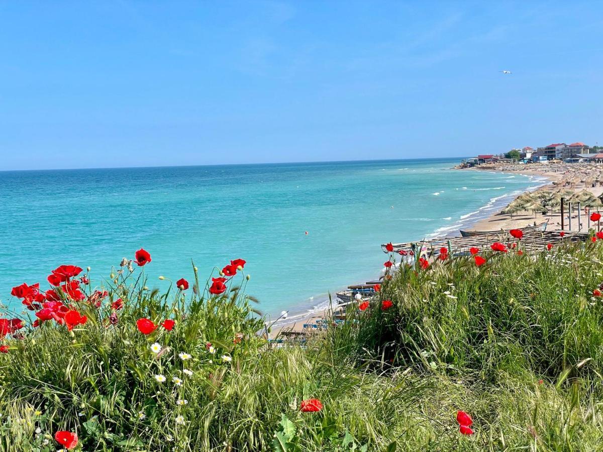 Vamabel House Bed & Breakfast Vama Veche Exterior photo